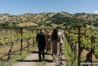 California Wine Festivals and Events Happening This Month