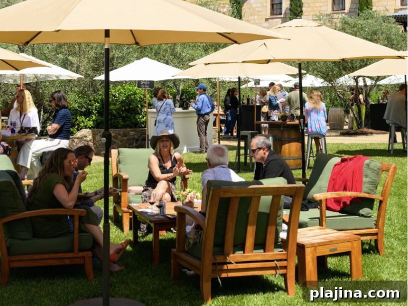 Vineyard to Vintner Weekend