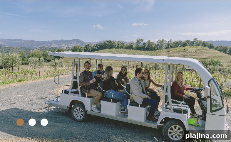 Benziger Family Winery