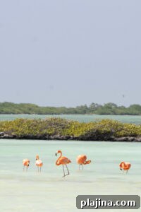 img 173284 1