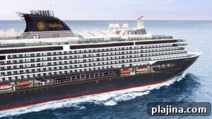 Cruise ship