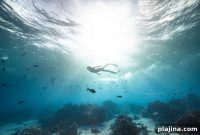Fakarava: Discover Its Stunning Scenery and Unique Wildlife
