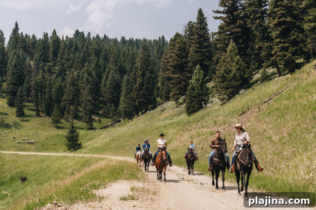 Montana