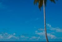 Ferrari at Waldorf Astoria Maldives Ithaafushi — Hedley Studios Partnership