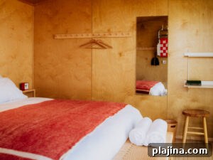 img 174201 1