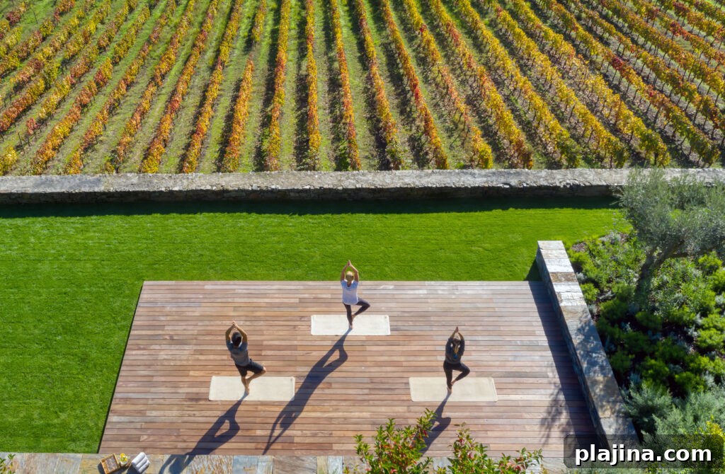 vineyard yoga