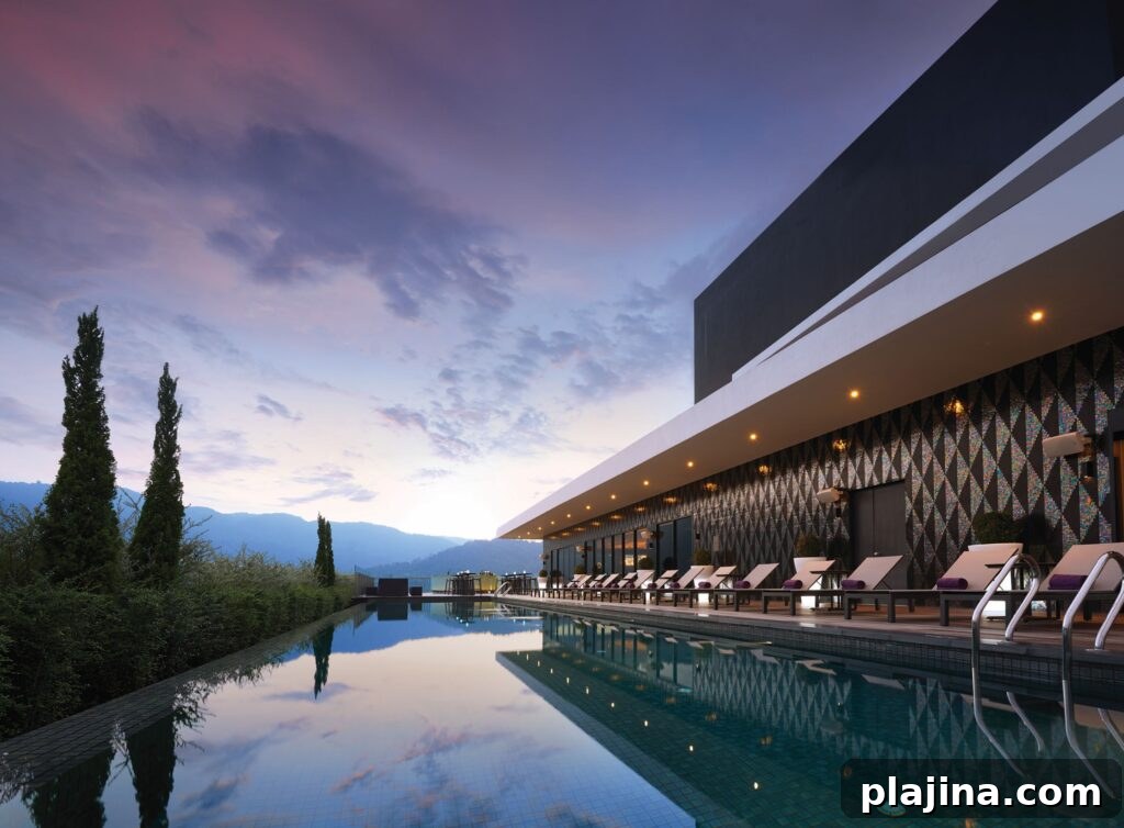 Rooftop pool view