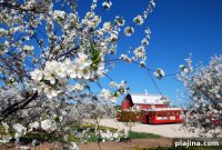 Why You Should Spend the Summer on Wisconsin’s Lake Shore