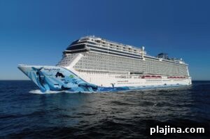 img 175168 3