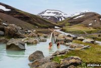 4 Resorts Offering Immersive Forest Bathing Retreats