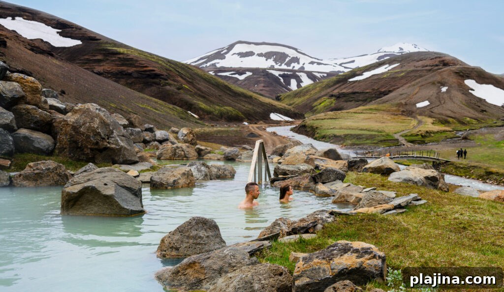 img 175549 1