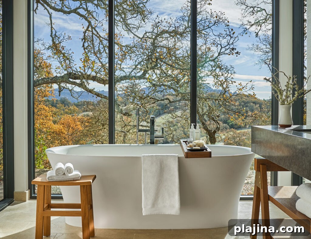 Montage Healdsburg terraces and nature