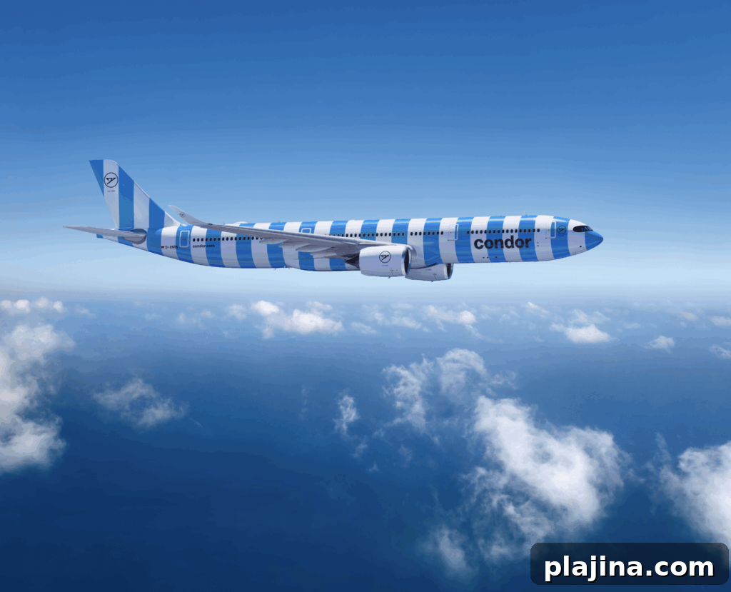 Condor aircraft exterior