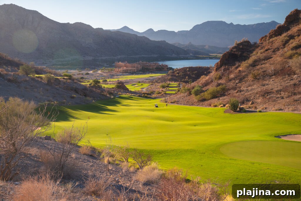 Villa del Palmar golf