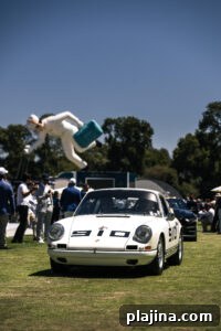 The Quail event