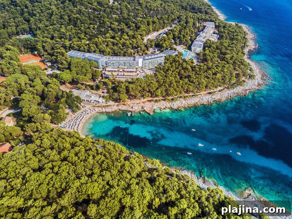 Mountain view and coastline
