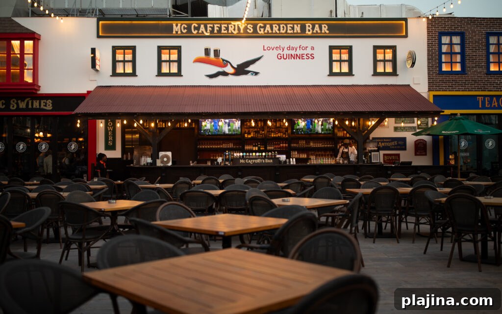 McCaffertys interior