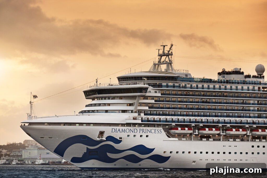 Onboard dining and activities