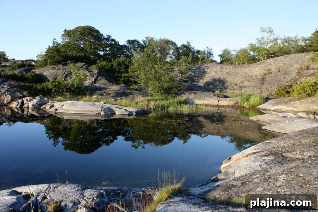 Archipelago landscape