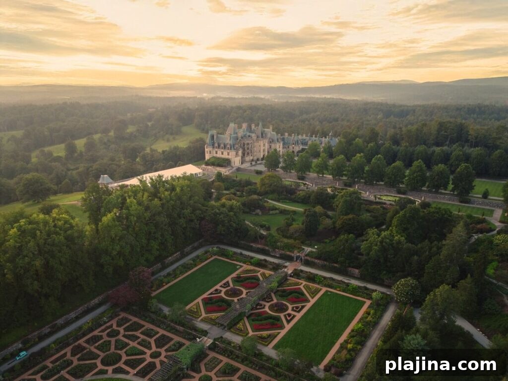 Nighttime projection at Biltmore