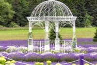Discover a Lavender Farm in an Unexpected U.S. Destination