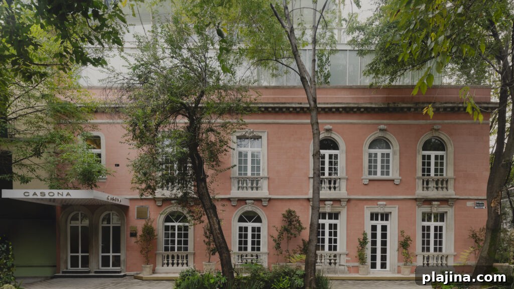 Casona Roma Norte