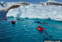 Antarctica Travel Guide for First-Time Visitors: Packing & Pro Tips