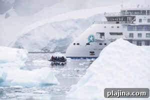 Wildlife and ice
