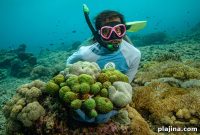 Aurora Expeditions Launches Ocean Regeneration Program to Replace Carbon Offsets