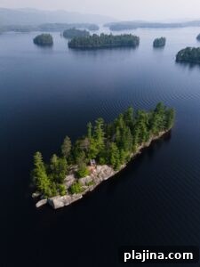 img 180184 1