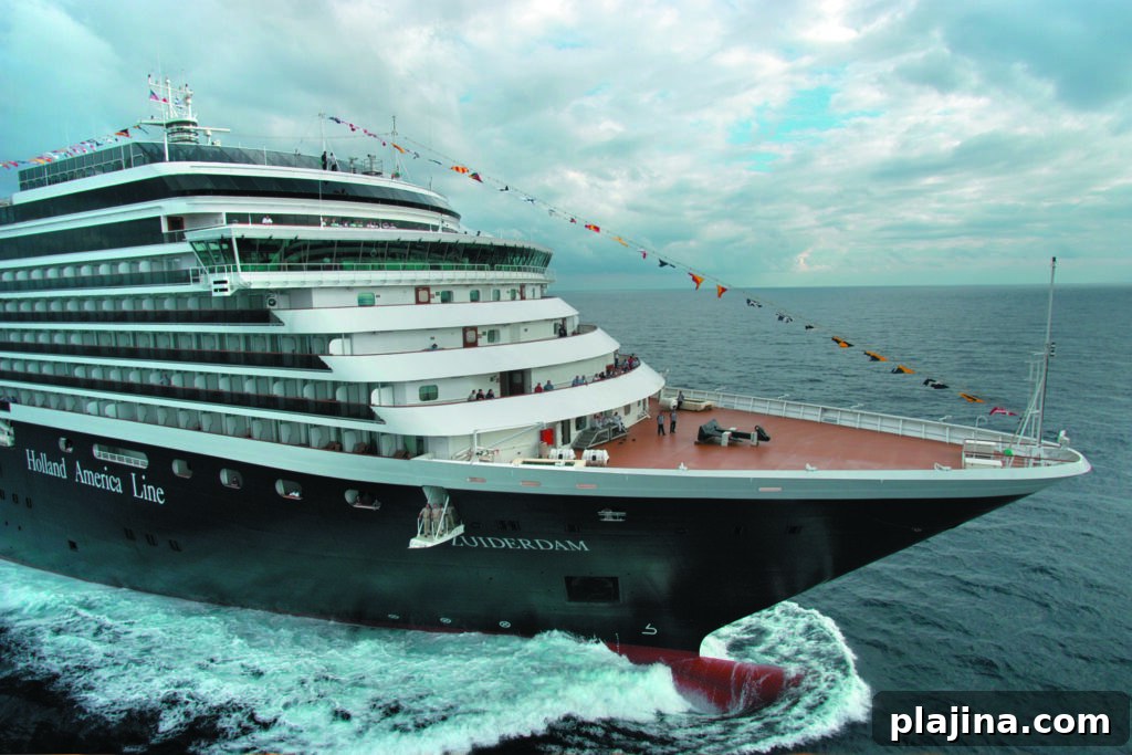 img 180635 1