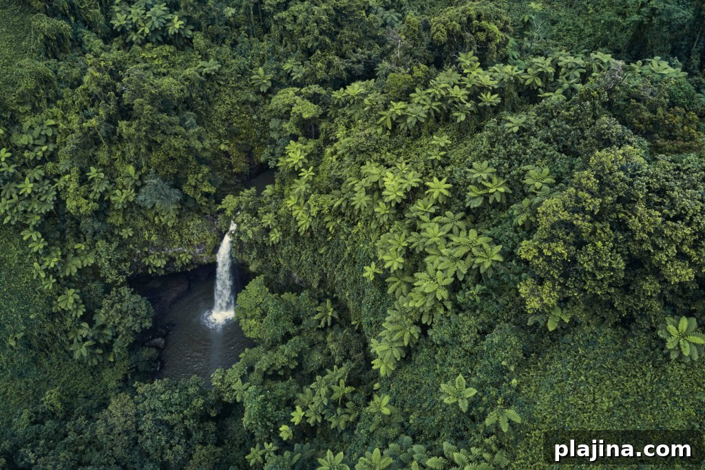 Tavolo Falls