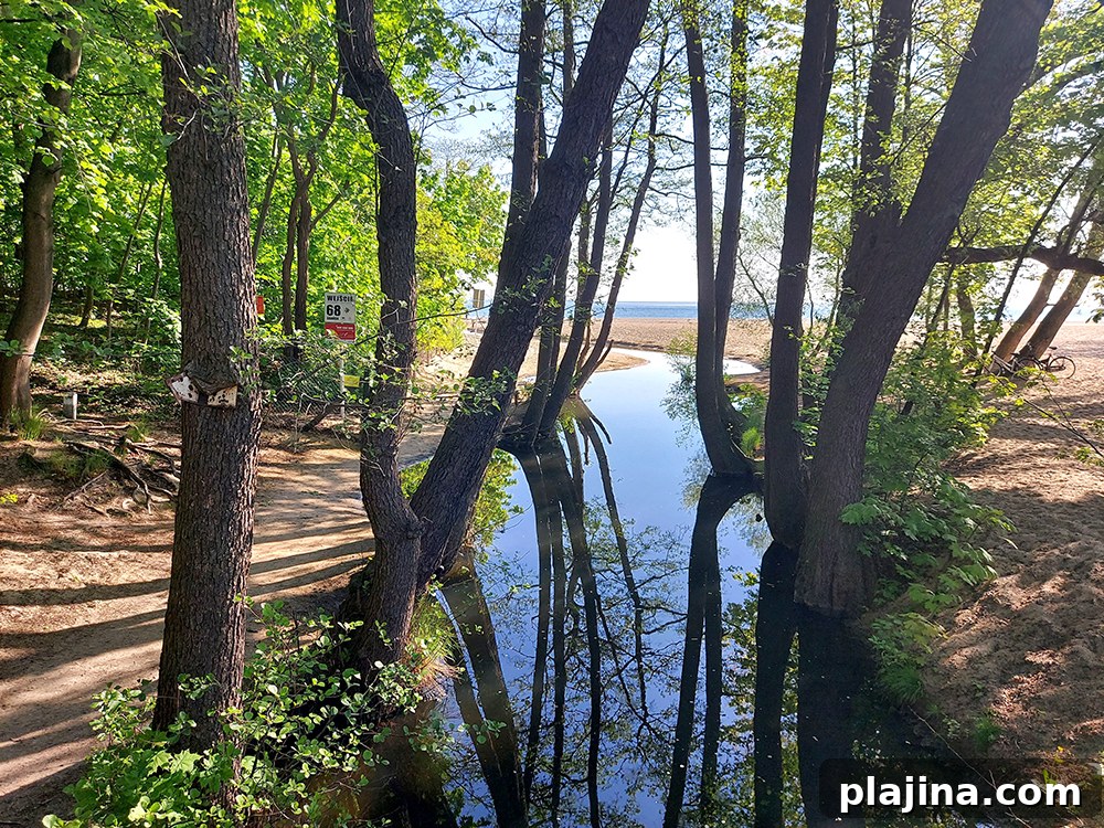 Oliwa Stream at Przymorze