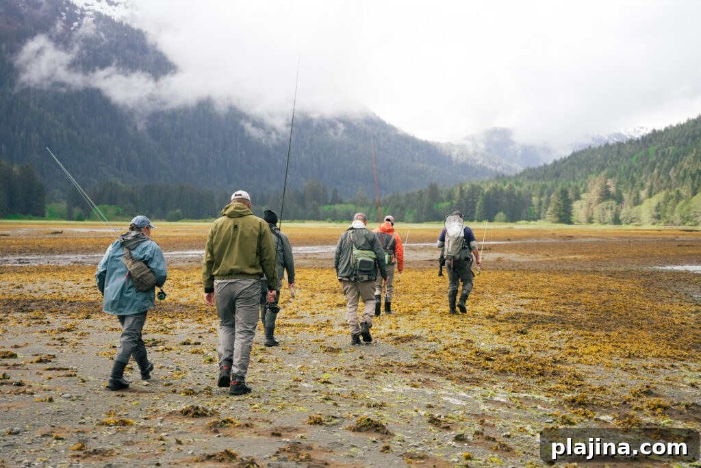 Guests observing Alaska scenery from deck