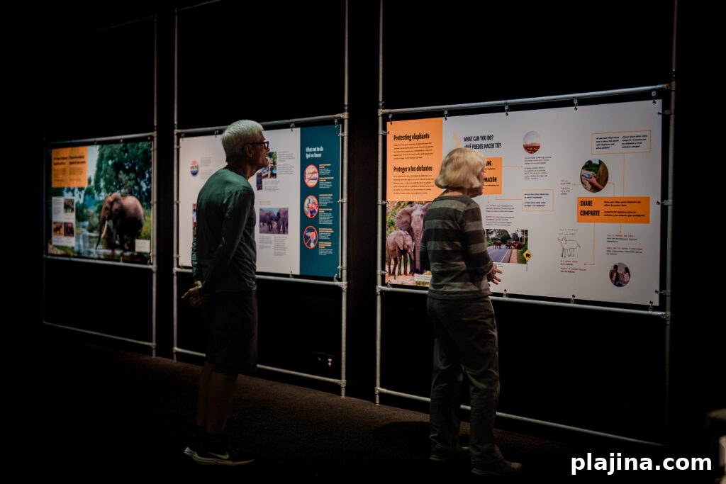 Interactive elephant exhibit elements