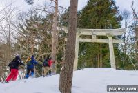 Discover Japan This Winter: 5 Unique Itineraries from a Top Travel Company