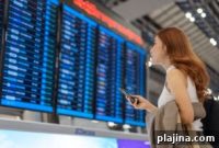 How Travelers Stay Calm and Productive During Travel Delays