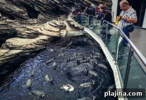 flight delays