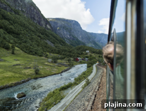Up Norway 
