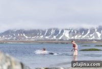 Scandinavian Tour Operator Unveils Arctic Expedition for 2026 Solar Maximum