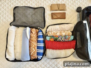 travel bag