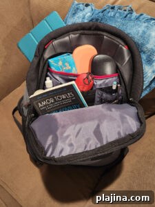 travel bag