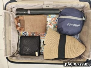 travel bag