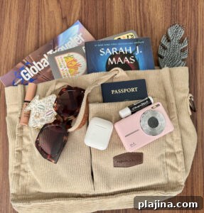 travel bag