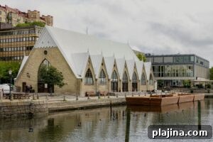 img 183922 1