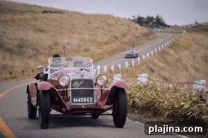 The Peninsula Motoring Series, Japan