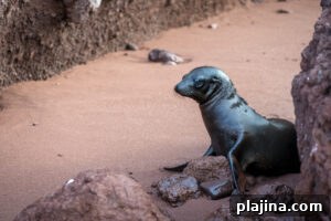 img 184933 1