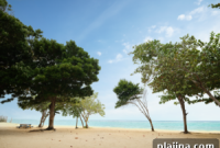 Discover Jamaica: Experience the Island’s Iconic Vibe and Culture
