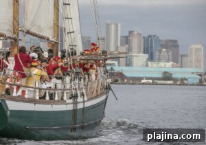 img 185380 2