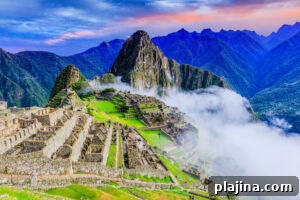 Machu Picchu 